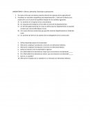 LABORATORIO 4. Oferta y Demanda: Elasticidad y aplicaciones.