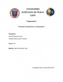 Preparatoria 8 “Actividad de Organización y Jerarquización”