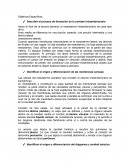 Histologia. Describir el proceso de formación de la cavidad intraembrionaria