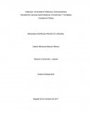 Segunda entrega derecho