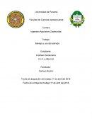 Cortes de carnes Manejo y uso del edmodo