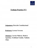 Trabajo Practico N°1 Derecho Constitucional