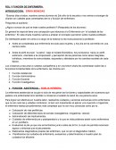 ROL Y FUNCIÓN DE ENFERMERÍA.