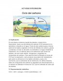 Actividad integradora quimica. Reacciones químicas que intervienen en el calentamiento global