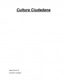 Cultura Ciudadana. Resumen del texto