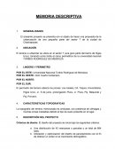 Memoria descriptiva actividad