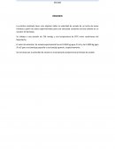 Informe secado san marcos