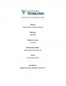 Caso Movilidad. (Solutions, S.A de C.V.)