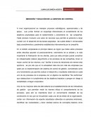 MEDICIÓN Y SOLUCIÓN DE LA GESTION DE CONTROL