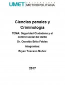 Seguridad Ciudadana y el control social del delito