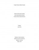 Trabajo Práctico Método Simplex