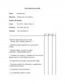 Pauta evaluacion