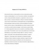 Negligencia En El Trabajo, MAPER S.A.