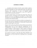 Activistas vs Porros