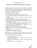 PRÁCTICO N° 5: DIVERSIDAD Y CLASIFICACIÓN III. MOLLUSCA