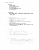 Producto: Capsula Nespresso