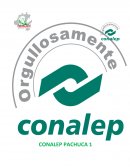 INVERNADEROS EN ESPACIOS REDUCIDOS