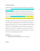 La plataforma de Uber