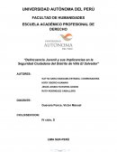 Delincuencia juvenil y sus implicancias en la seguridad ciudadana del distrito de Villa el Salvador