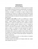 MONOGRAFIA PAUTA DE TRABAJO Neurofisiologia