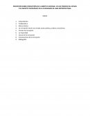 La corrupcion en el estado