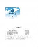 Identificación de Actos Lingüísticos