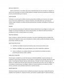 IDEA DEL PROYECTO, VISTEON COMPANY