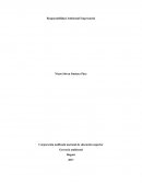 Responsabilidad Ambiental Empresarial
