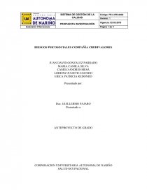 RIESGOS PSICOSOCIALES COMPAÑÍA CREDIVALORES. Página 1