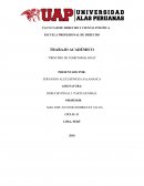 Princio de territorialidad “PRINCIPIO DE TERRITORIALIDAD”