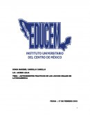 ANTECEDENTES PRACTICOS DE LOS JUICIOS ORALES EN LATINOAMERICA