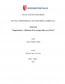 Importancia y eficiencia de la energía eólica en el Perú