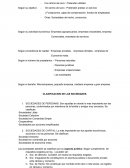 CLASIFICACION DE LAS EMPRESAS;SOCIEDADES