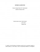 Trabajo Práctico Nº3: “Biomoléculas”.