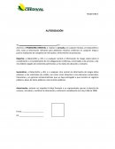 Autorización, anterior no impedirá al bajo firmante o su representada, ejercer el derecho de conocer, actualizar y rectificar la información, conforme lo establecido en la ley 1266 de 2008.