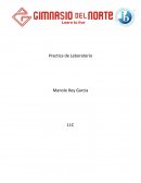 Practica de Laboratorio. Ley de Ohm