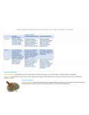 CONSECUENCIAS FISIOLOGICAS DE CONSUMO DE TABACO, ALCOHOL Y DROGAS