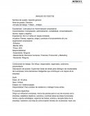 EJEMPLOS DE ANÁLISIS DE PUESTOS