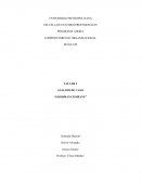 ANALISIS DE CASO “GOODMAN COMPANY”