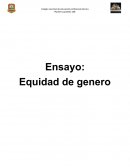 La equidad de género. Desarrollo