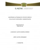 PRESUPUESTOS PRACTICA