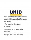 Proyectos de Inversión. Administración de Empresas