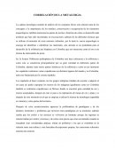CORRELACIÓN DE LA METALURGIA