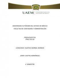 PRESUPUESTOS PRACTICA. Página 1