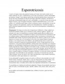 Esporotricosis