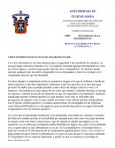 VIRUS INFORMATICOS (WANNACRY,MACROMALWARE)