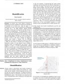 Humidificación Borja Samantha1