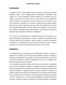 Calidad. Madrid: Area ciclos formativos.