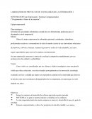 Laboratorio de proyectos de tecnologias de la informacion