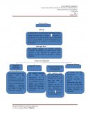 MATRIZ BCG ¿Para qué sirve?